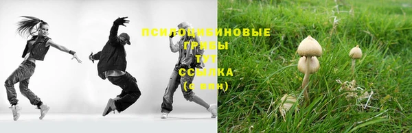 мдпв Бронницы