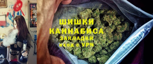 мдпв Бронницы