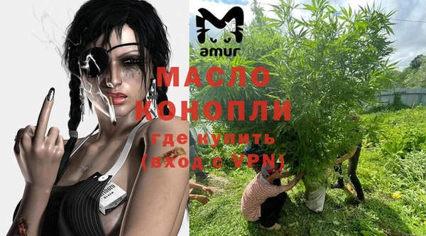 мдпв Бронницы
