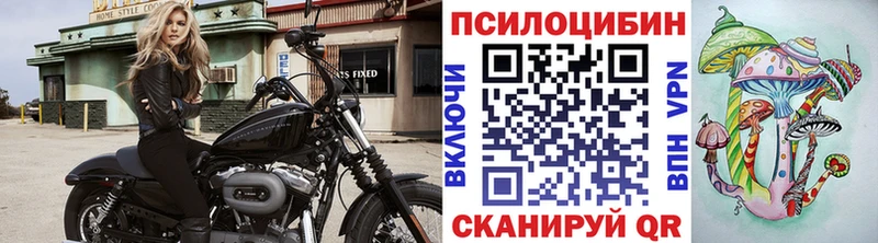 маркетплейс Telegram блэк спрут tor Томмот Псилоцибиновые грибы Psilocybine cubensis